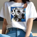 Tシャツ レディース 犬ファン 半袖 春夏 犬柄 プリント カジュアル かわいい 人間用 フィットネス ダンス 青い背景 ダルメシアン おしゃれなフォント かっこいい犬(4)