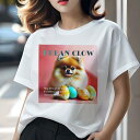 Tシャツ レディース 犬ファン 半袖 春夏 犬柄 プリント カジュアル かわいい 人間用 フィットネス ダンス カラフルなたまご ポメラニアン 文字