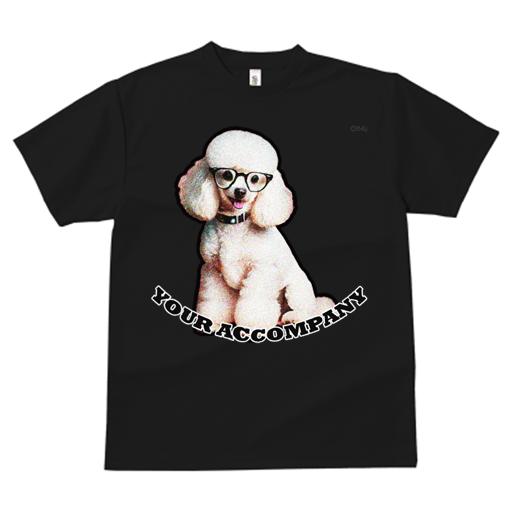 Tシャツ レディース 犬ファン 半袖 春夏 犬柄 プリント カジュアル かわいい 人間用 フィットネス ダンス 眼鏡 プードル 首輪 テキスト 微笑む