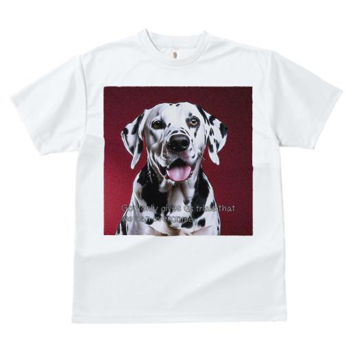Tシャツ レディース 犬ファン 半袖 春夏 犬柄 プリント カジュアル かわいい 人間用 フィットネス ダンス 赤い背景 ダルメシアン 立ち耳 黒い斑点