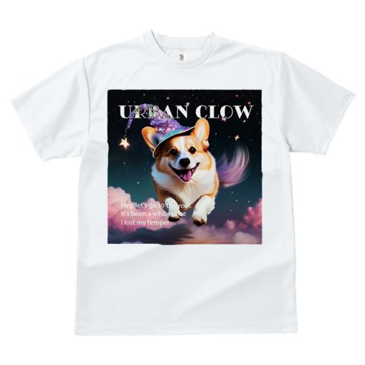 Tシャツ レディース 犬ファン 半袖 春夏 犬柄 プリント カジュアル かわいい 人間用 フィットネス ダンス 帽子 コーギー 星 空 雲