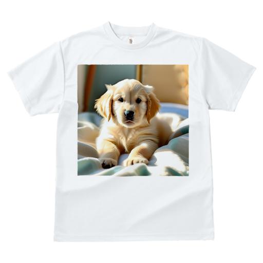 Tシャツ レディース 犬ファン 半袖 春夏 犬柄 プリント カジュアル かわいい 人間用 フィットネス ダンス ベッド ゴールデンレトリバー クッション 室内
