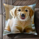 ベッド ゴールデンレトリバー カワイイ 子犬 クッションカバー 45×45cm アニマル柄 おしゃれ 可愛い クッション本体付き 正方形 犬ファン