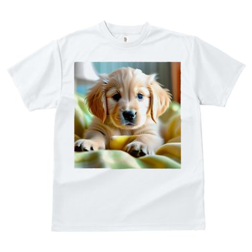 Tシャツ レディース 犬ファン 半袖 春夏 犬柄 プリント カジュアル かわいい 人間用 フィットネス ダンス 子犬 ゴールデンレトリバー かわいい フワフワ ベッド