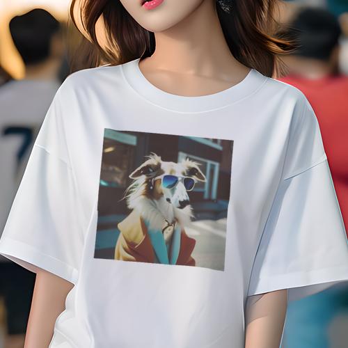T ǥ ե Ⱦµ ղ  ץ 奢 襤 ʹ եåȥͥ  󥰥饹 ܥ륾  