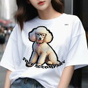 Tシャツ メンズ キッズ 犬ファン 半袖 春夏 犬柄 プリント カジュアル かわいい 人間用 フィットネス ダンス メガネ プードル 首輪 犬(4)
