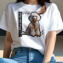 Tシャツ レディース 犬ファン 半袖 春夏 犬柄 プリント カジュアル かわいい 人間用 フィットネス ダンス 眼鏡 プードル 可愛い 綺麗 お洒落(4)