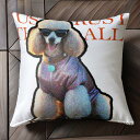 サングラス プードル コスチューム クッションカバー 45×45cm アニマル柄 おしゃれ 可愛い クッション本体付き 正方形 犬ファン