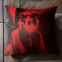 サングラス ボーダーコリー コート スカーフ 赤い光 クッションカバー 45×45cm アニマル柄 おしゃれ 可愛い クッション本体付き 正方形 犬ファン