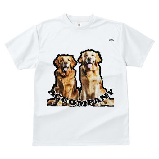Tシャツ レディース 犬ファン 半袖 春夏 犬柄 プリント カジュアル かわいい 人間用 フィットネス ダンス 文字 ゴールデンレトリーバー ACCOMPANY 黒背景
