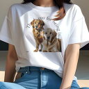 Tシャツ レディース 犬ファン 半袖 春夏 犬柄 プリント カジュアル かわいい 人間用 フィットネス ダンス ゴールデンレトリバー(4)