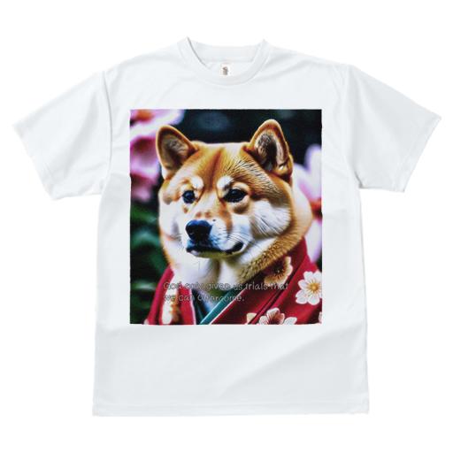 Tシャツ レディース 犬ファン 半袖 春夏 犬柄 プリント カジュアル かわいい 人間用 フィットネス ダンス 着物 柴犬 花