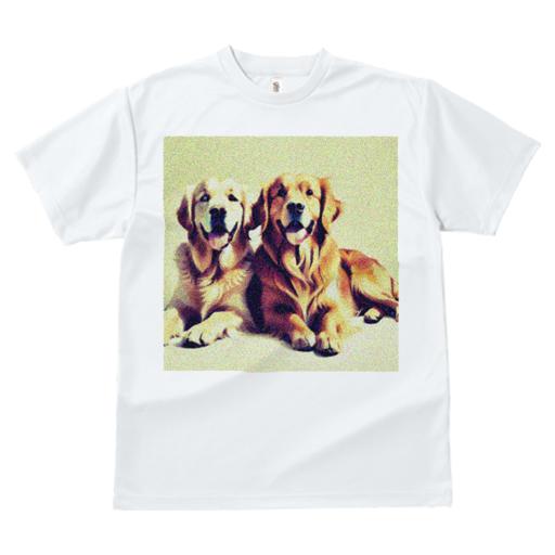 Tシャツ レディース 犬ファン 半袖 春夏 犬柄 プリント カジュアル かわいい 人間用 フィットネス ダンス 笑顔 ゴールデンレトリバー 幸せ 友情 ペット 飼い犬