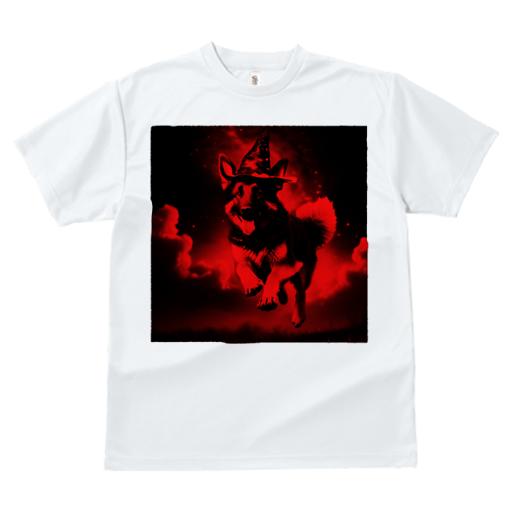 Tシャツ レディース 犬ファン 半袖 春夏 犬柄 プリント カジュアル かわいい 人間用 フィットネス ダンス 魔法使いの帽子 シベリアンハスキー 夜空 紅色の背景 雲