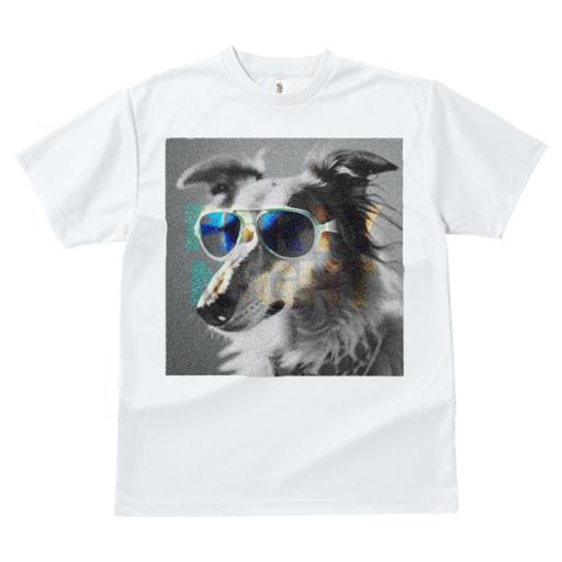 Tシャツ レディース 犬ファン 半袖 春夏 犬柄 プリント カジュアル かわいい 人間用 フィットネス ダンス サングラス コリー パーティー