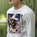 長袖Tシャツ 人間用 メンズ 秋春夏 プリント レジャー アウトドア カジュアル かわいい 犬ファン 魔法使い帽子 ジャーマンシェパード 都市ジャングル