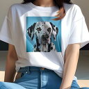 Tシャツ レディース 犬ファン 半袖 春夏 犬柄 プリント カジュアル かわいい 人間用 フィットネス ダンス クッションカバー 45×45cm アニマル柄 おしゃれ 可愛い クッション本体付き