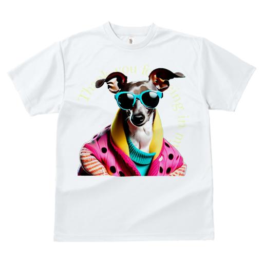 Tシャツ レディース 犬ファン 半袖 春夏 犬柄 プリント カジュアル かわいい 人間用 フィットネス ダンス サングラス イタリアングレーハウンド ジャケット