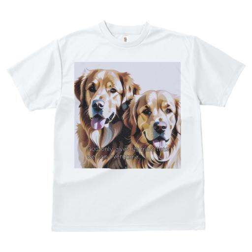 Tシャツ レディース 犬ファン 半袖 春夏 犬柄 プリント カジュアル かわいい 人間用 フィットネス ダンス ゴールデンレトリバー