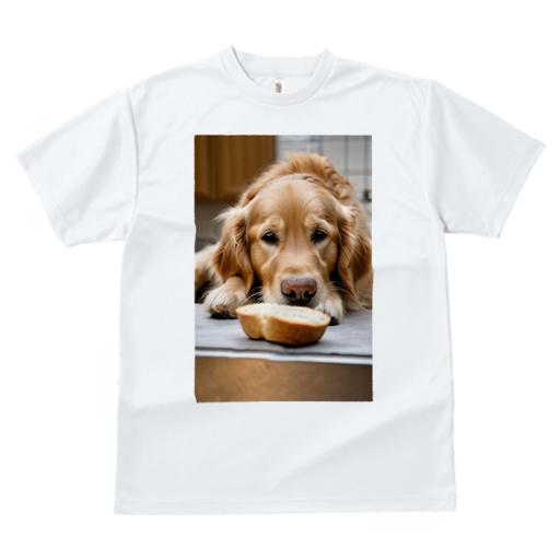 Tシャツ レディース 犬ファン 半袖 春夏 犬柄 プリント カジュアル かわいい 人間用 フィットネス ダンス パン ゴールデンレトリバー