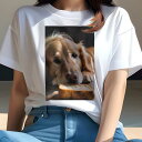 Tシャツ レディース 犬ファン 半袖 春夏 犬柄 プリント カジュアル かわいい 人間用 フィットネス ダンス パン ゴールデンレトリバー(4)