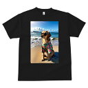 Tシャツ メンズ キッズ 犬ファン 半袖 春夏 犬柄 プリント カジュアル かわいい 人間用 フィットネス ダンス ビーチ ゴールデンレトリーバー 海 サングラス アロハシャツ
