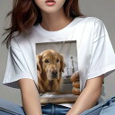 Tシャツ レディース 犬ファン 半袖 春夏 犬柄 プリント カジュアル かわいい 人間用 フィットネス ダンス パン ゴールデンレトリバー キッチン