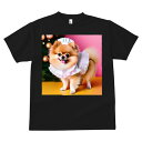 Tシャツ メンズ キッズ 犬ファン 半袖 春夏 犬柄 プリント カジュアル かわいい 人間用 フィットネス ダンス クリスマスツリー ポメラニアン オーナメント