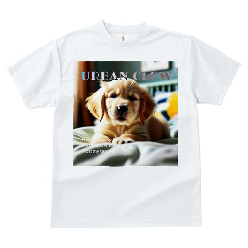 Tシャツ レディース 犬ファン 半袖 春夏 犬柄 プリント カジュアル かわいい 人間用 フィットネス ダンス かわいい ゴールデンレトリバー ペット 犬好き 癒し 愛犬家