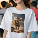 Tシャツ レディース 犬ファン 半袖 春夏 犬柄 プリント カジュアル かわいい 人間用 フィットネス ダンス 砂 ゴールデンレトリバー 夕焼け ビーチ 太陽(4)