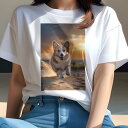 Tシャツ レディース 犬ファン 半袖 春夏 犬柄 プリント カジュアル かわいい 人間用 フィットネス ダンス 夕焼け コーギー 砂浜(4)