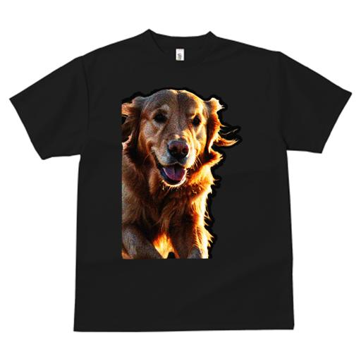 Tシャツ レディース 犬ファン 半袖 春夏 犬柄 プリント カジュアル かわいい 人間用 フィットネス ダンス 犬 ゴールデンレトリバー ペット 動物 笑顔