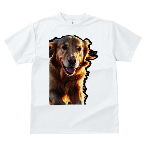 Tシャツ レディース 犬ファン 半袖 春夏 犬柄 プリント カジュアル かわいい 人間用 フィットネス ダンス 犬 ゴールデンレトリバー ペット 動物 笑顔