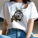 Tシャツ レディース 犬ファン 半袖 春夏 犬柄 プリント カジュアル かわいい 人間用 フィットネス ダンス メガネ シベリアンハスキー 蝶ネクタイ