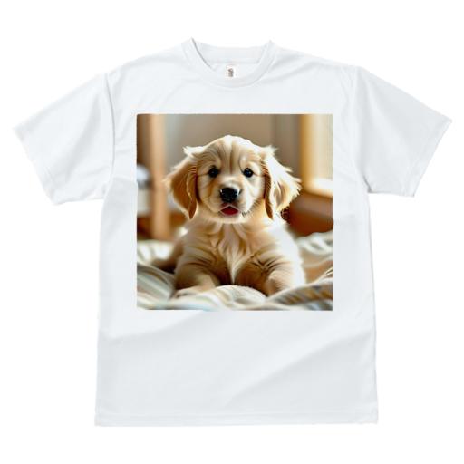 Tシャツ レディース 犬ファン 半袖 春夏 犬柄 プリント カジュアル かわいい 人間用 フィットネス ダンス 子犬 ゴールデンレトリバー