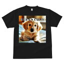 Tシャツ メンズ キッズ 犬ファン 半袖 春夏 犬柄 プリント カジュアル かわいい 人間用 フィットネス ダンス ゴールデンレトリバー 動物 ペット 子犬