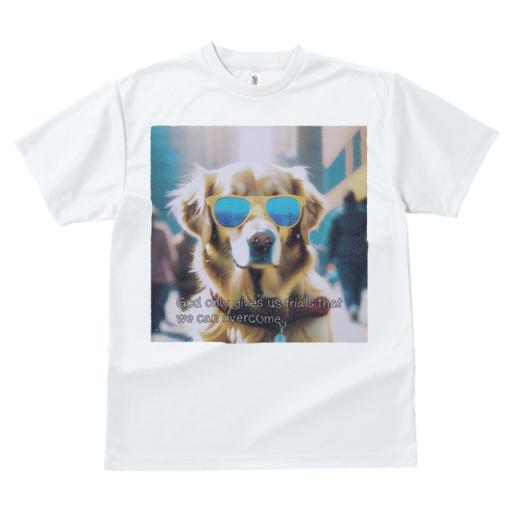 Tシャツ レディース 犬ファン 半袖 春夏 犬柄 プリント カジュアル かわいい 人間用 フィットネス ダンス サングラス ゴールデンレトリバー