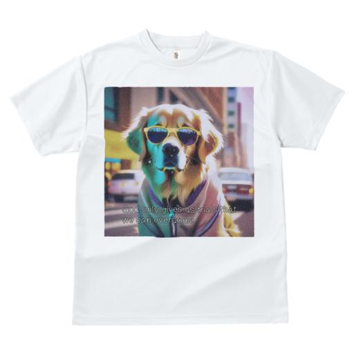 Tシャツ レディース 犬ファン 半袖 春夏 犬柄 プリント カジュアル かわいい 人間用 フィットネス ダンス サングラス ゴールデンレトリバー 車