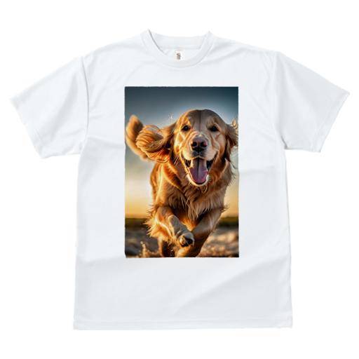 Tシャツ レディース 犬ファン 半袖 春夏 犬柄 プリント カジュアル かわいい 人間用 フィットネス ダンス 夕焼け ゴールデンレトリバー 笑顔 幸せ 走り