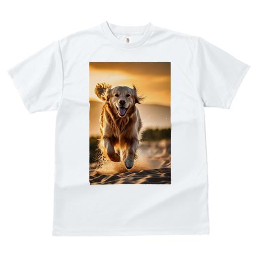 Tシャツ レディース 犬ファン 半袖 春夏 犬柄 プリント カジュアル かわいい 人間用 フィットネス ダンス 砂 ゴールデンレトリバー 夕焼け ビーチ