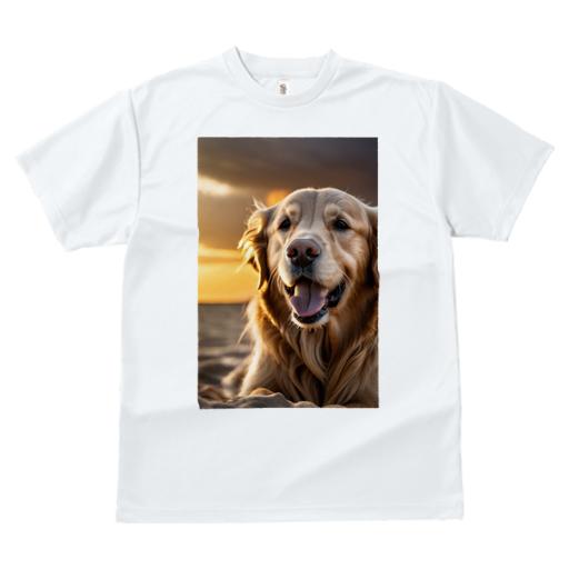 Tシャツ レディース 犬ファン 半袖 春夏 犬柄 プリント カジュアル かわいい 人間用 フィットネス ダンス 夕焼け ゴールデンレトリバー ビーチ