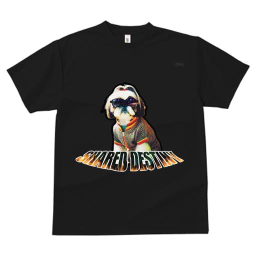 Tシャツ レディース 犬ファン 半袖 春夏 犬柄 プリント カジュアル かわいい 人間用 フィットネス ダンス サングラス シーズー クール