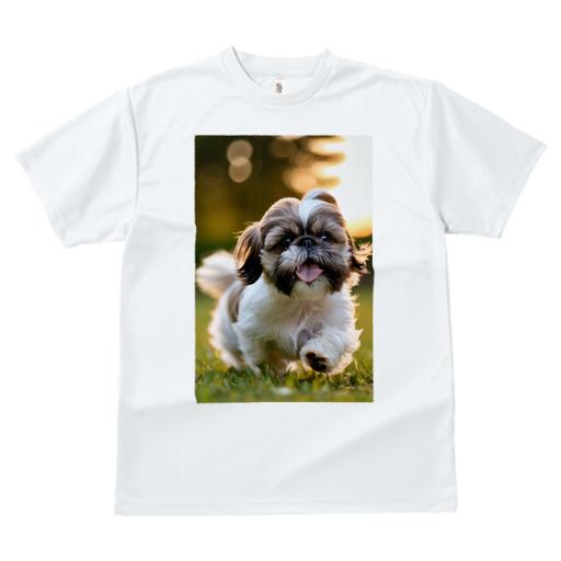 Tシャツ レディース 犬ファン 半袖 春夏 犬柄 プリント カジュアル かわいい 人間用 フィットネス ダンス 芝生 シーズー 太陽光
