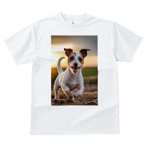 Tシャツ レディース 犬ファン 半袖 春夏 犬柄 プリント カジュアル かわいい 人間用 フィットネス ダンス 夕焼け ジャックラッセルテリア 砂