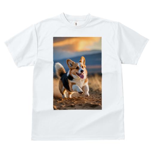 Tシャツ レディース 犬ファン 半袖 春夏 犬柄 プリント カジュアル かわいい 人間用 フィットネス ダンス 夕焼け コーギー 砂 走り