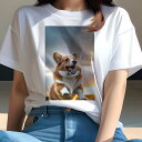 Tシャツ レディース 犬ファン 半袖 春夏 犬柄 プリント カジュアル かわいい 人間用 フィットネス ダンス 空 コーギー 夕焼け 雲 草原(4)