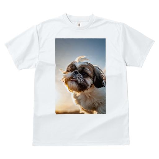 Tシャツ レディース 犬ファン 半袖 春夏 犬柄 プリント カジュアル かわいい 人間用 フィットネス ダンス シーズー