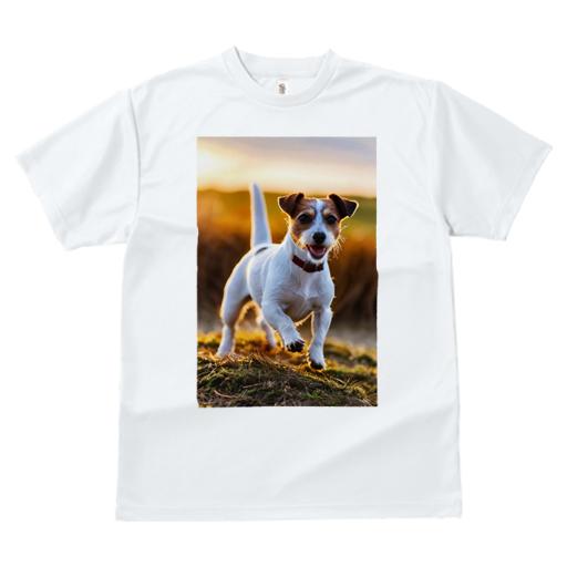 Tシャツ メンズ キッズ 犬ファン 半袖 春夏 犬柄 プリント カジュアル かわいい 人間用 フィットネス ダンス 夕焼け ジャックラッセルテリア 笑顔 散歩 草原
