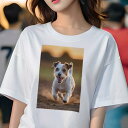 Tシャツ レディース 犬ファン 半袖 春夏 犬柄 プリント カジュアル かわいい 人間用 フィットネス ダンス 夕焼け ジャックラッセルテリア 笑顔 砂 走り