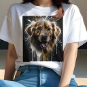 Tシャツ レディース 犬ファン 半袖 春夏 犬柄 プリント カジュアル かわいい 人間用 フィットネス ダンス ゴールデンレトリバー(4)